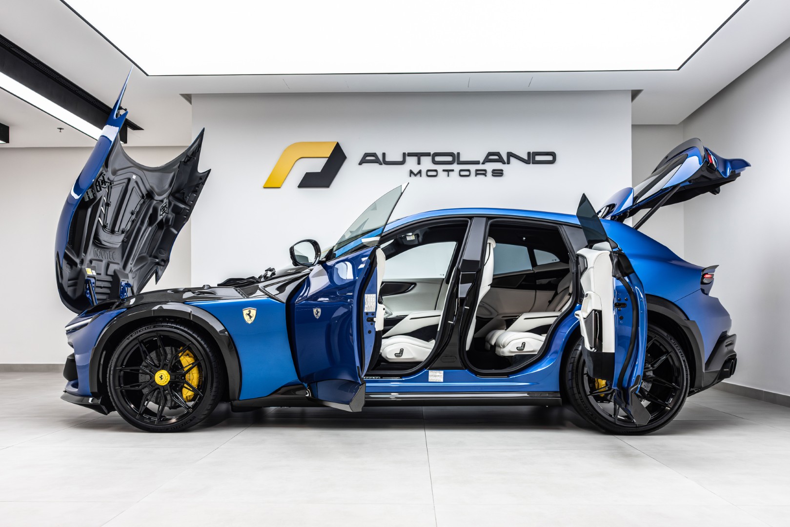 2025 FERRARI PUROSANGUE | MAIN DEALER SERVICE | CUSTOM SPECIFICATIONS